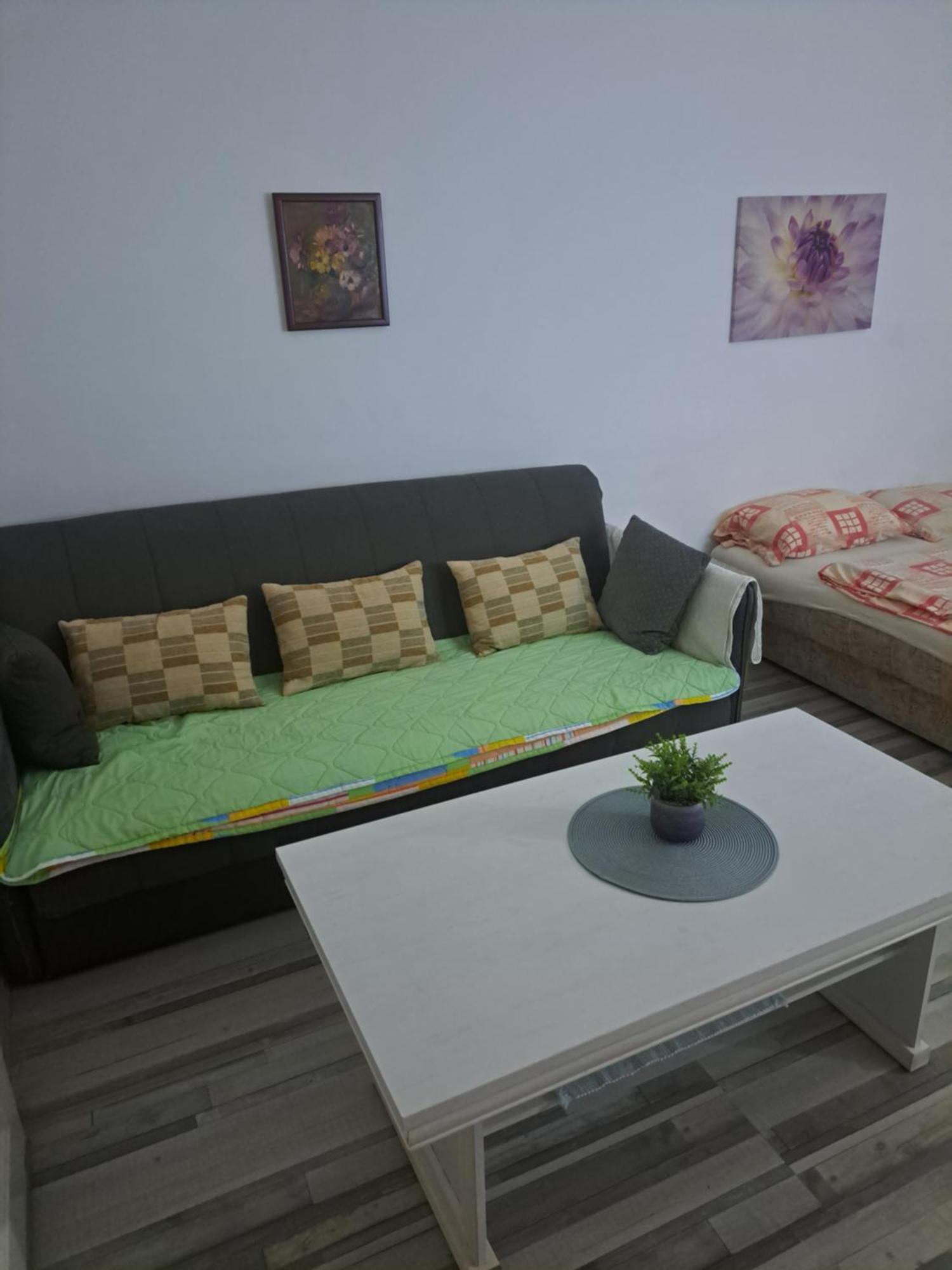 Apartment Capital Town Vk 14 诺威萨 外观 照片